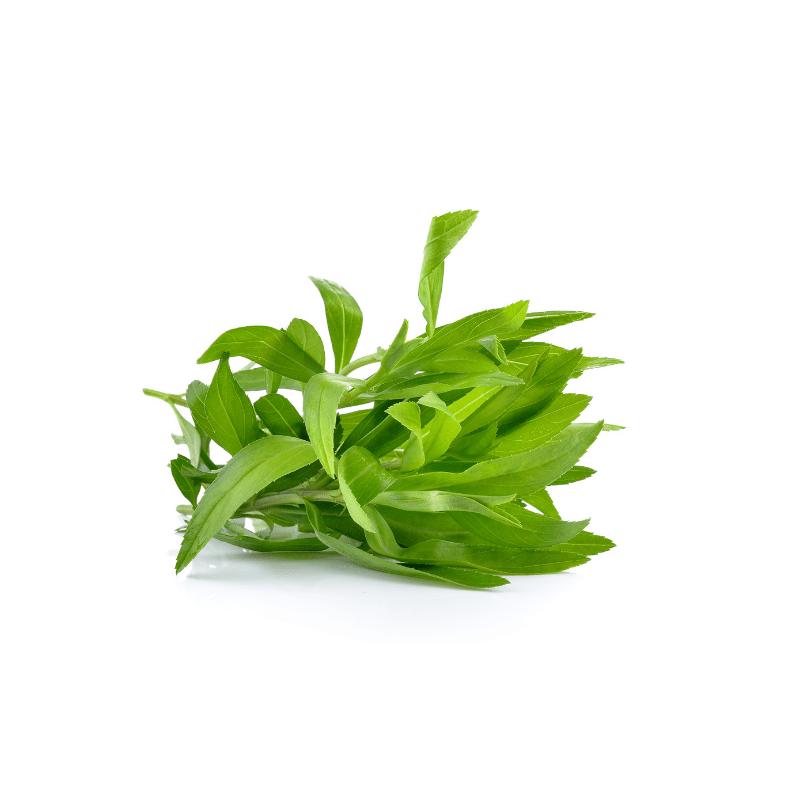 Artemisia, tarragon’s genus, comes from the Greek goddess Artemis