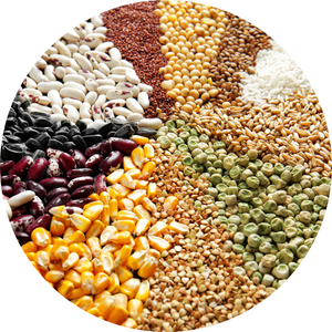 Grains_Seeds.png