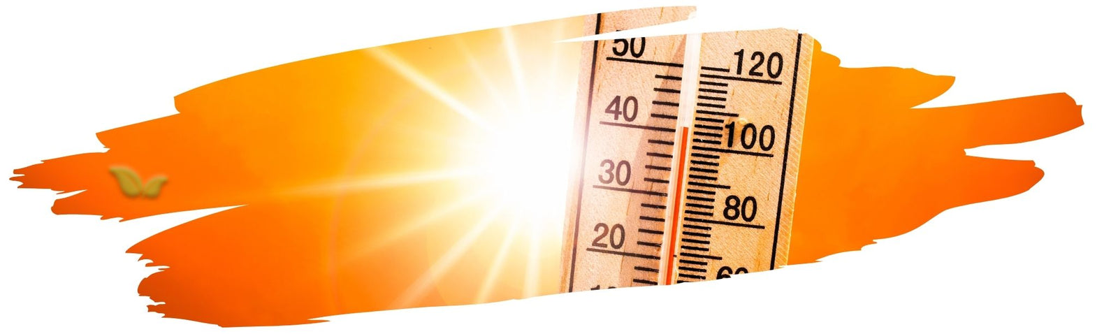 Understanding Spice Heat Levels