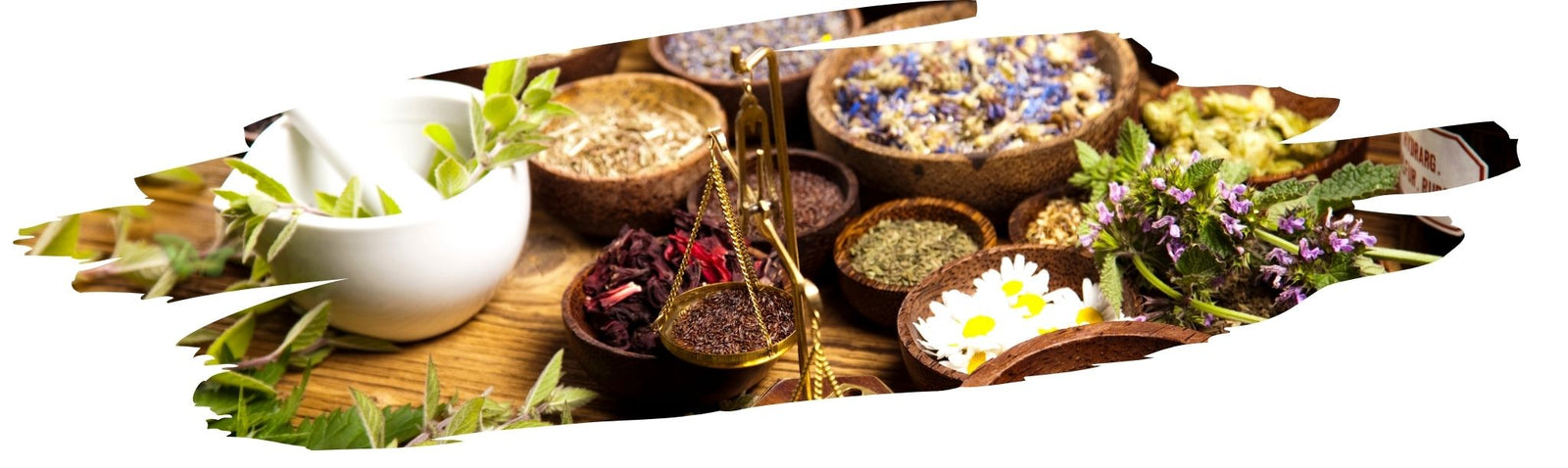 Zero-Waste Cooking with Herb Stems and Spice Scraps