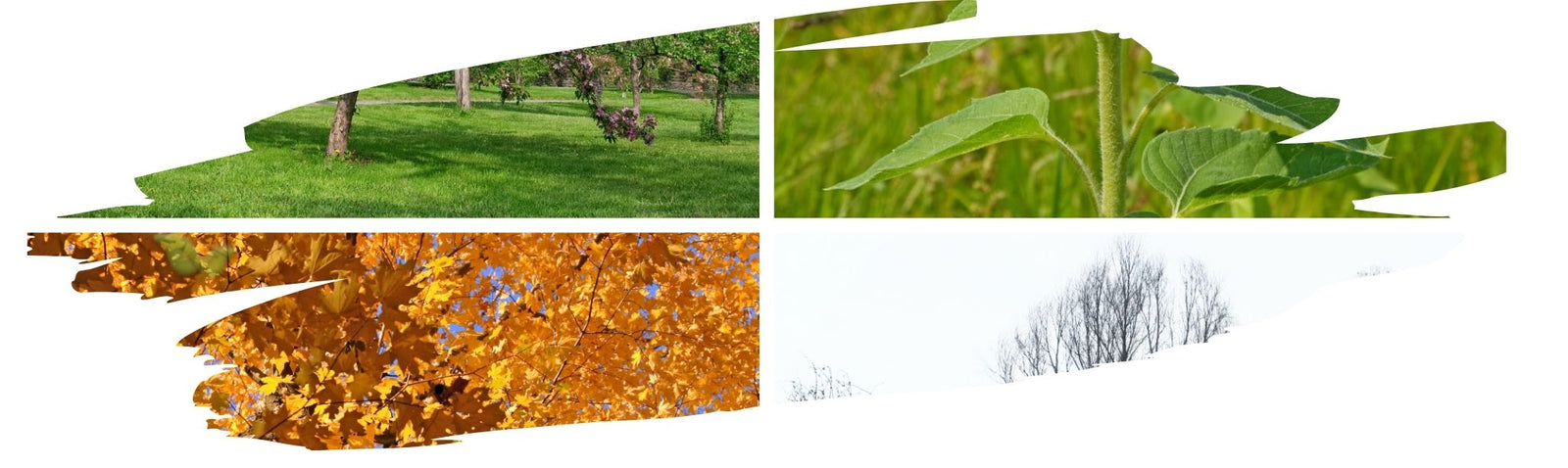 Seasonal Spice Guide: What to Use in Spring, Summer, Fall, and Winter