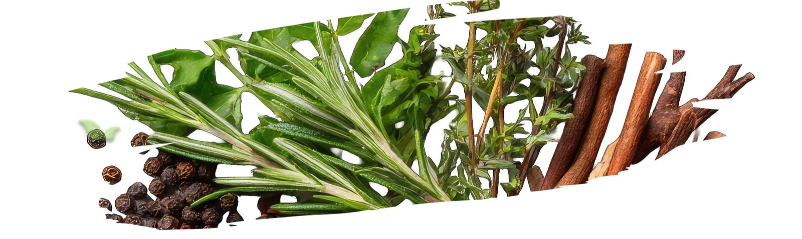 Spring Cooking: Fresh Herb & Spice Ideas for Light Meals