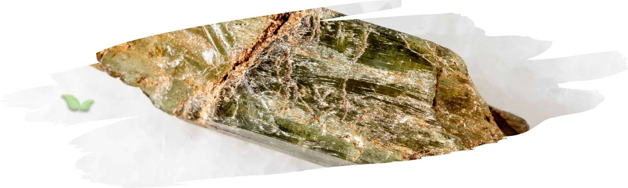 Can I use dried epazote instead of fresh?