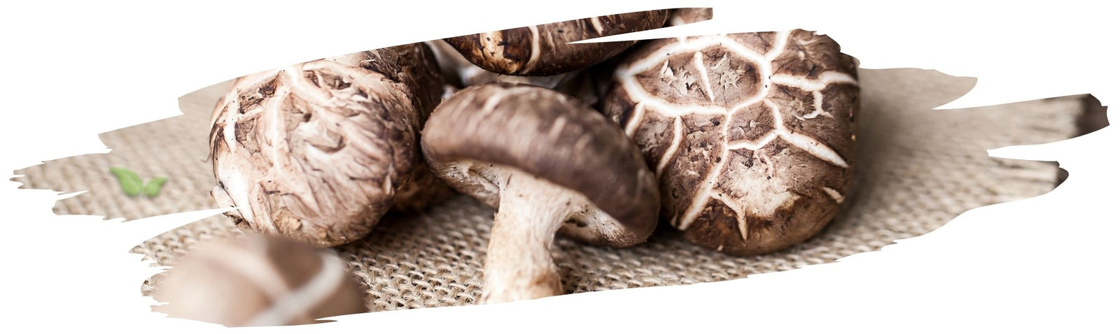 How do I keep mushrooms from turning soggy?