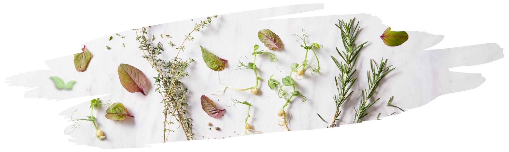 Can I always substitute dried herbs for fresh?