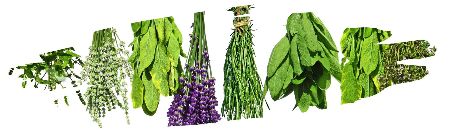 Lesser-Known Herbs that Add Unique Flavor