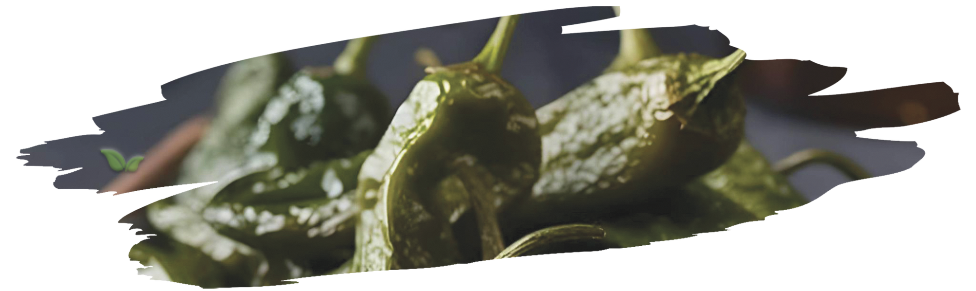 close up of dried poblano demonstrating smoky texture and bold aroma