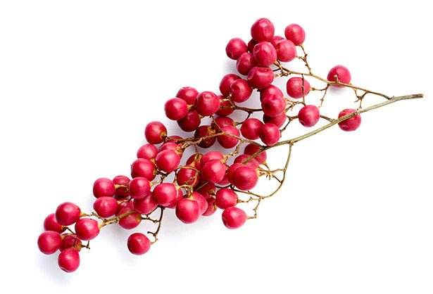 Pink peppercorns are not true peppercorns but rather are the ripe berries of the Brazilian pepper tree