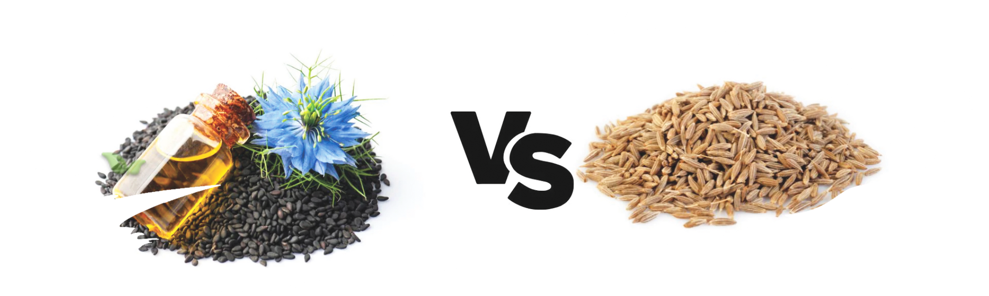 close up of cumin varieties demonstrating aromatic and flavor differences