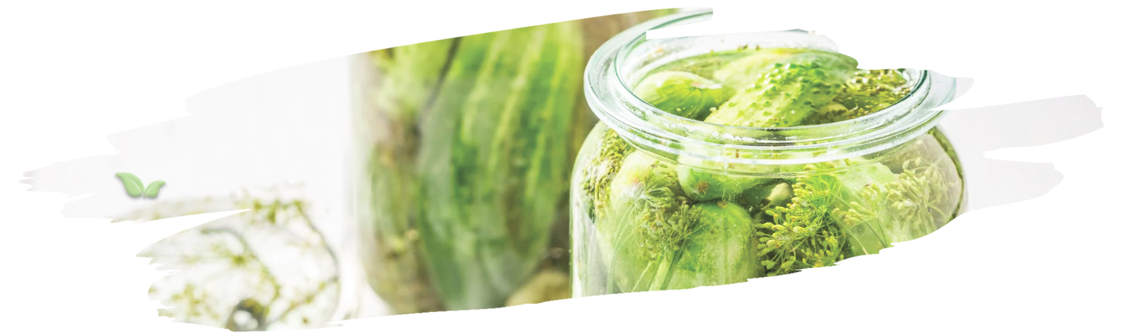 chef preparing pickling brine demonstrating dill seed’s key role
