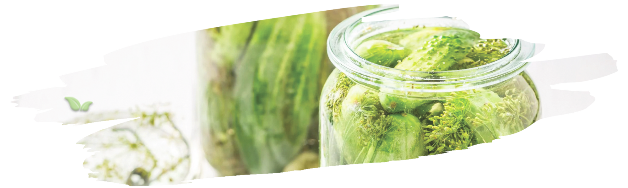 chef preparing pickling brine demonstrating dill seed’s key role