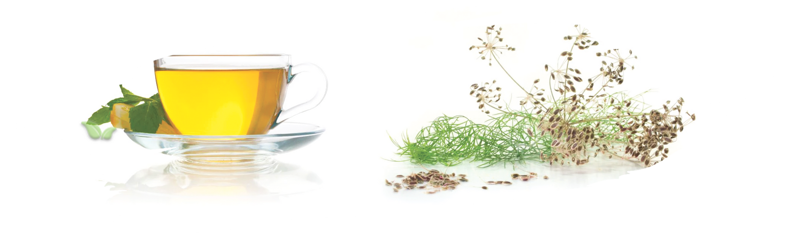 teapot with dill seeds steeping demonstrating relaxing homemade brew