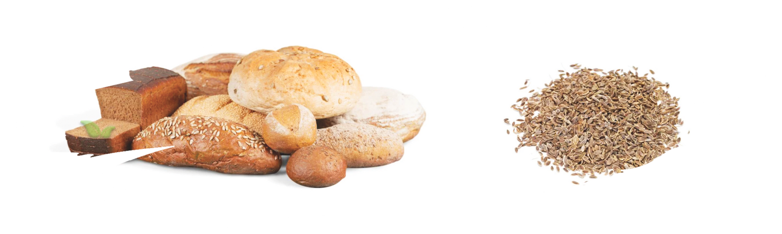 baker sprinkling dill seeds on dough demonstrating enhanced bread flavor