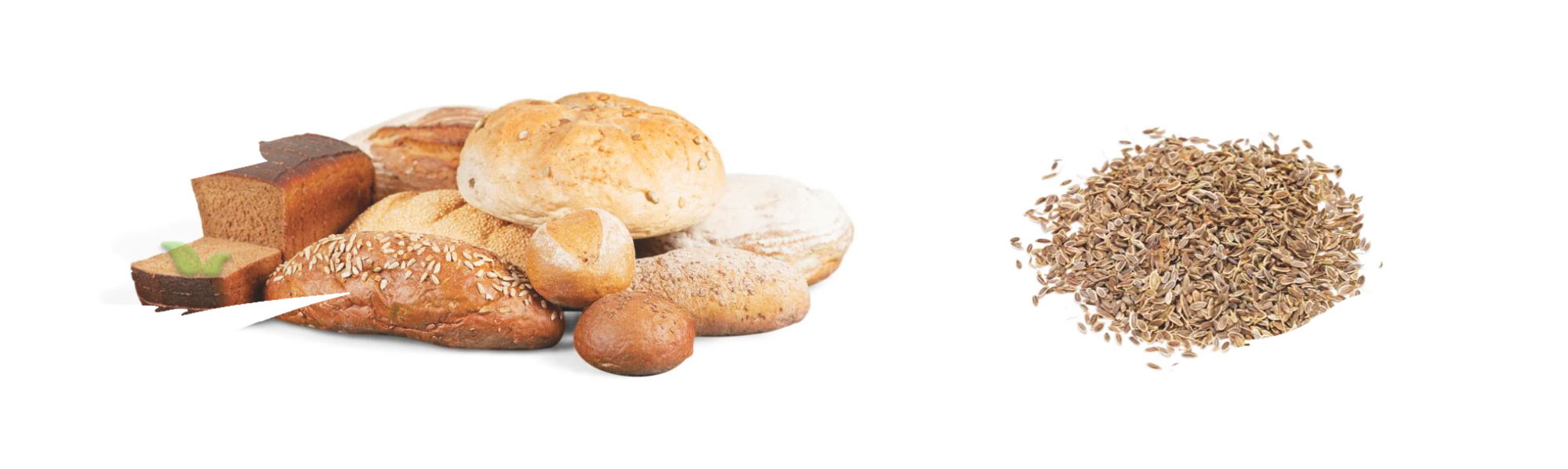 baker sprinkling dill seeds on dough demonstrating enhanced bread flavor