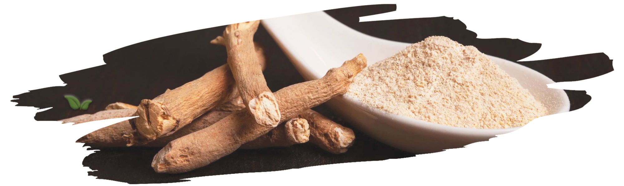 ancient herbal illustration demonstrating origin of ashwagandha use