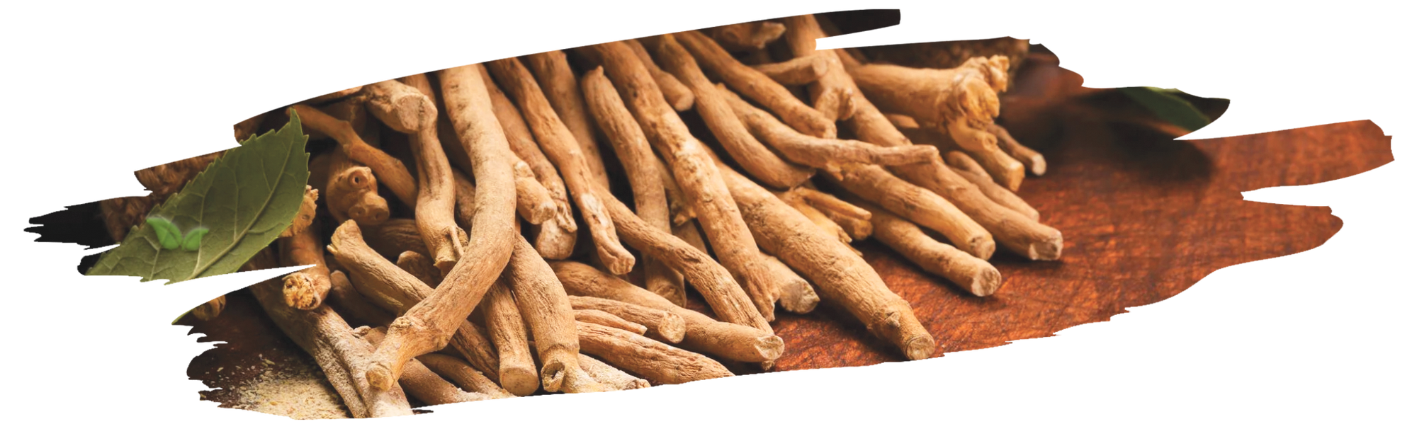comparison of ashwagandha forms demonstrating preparation methods