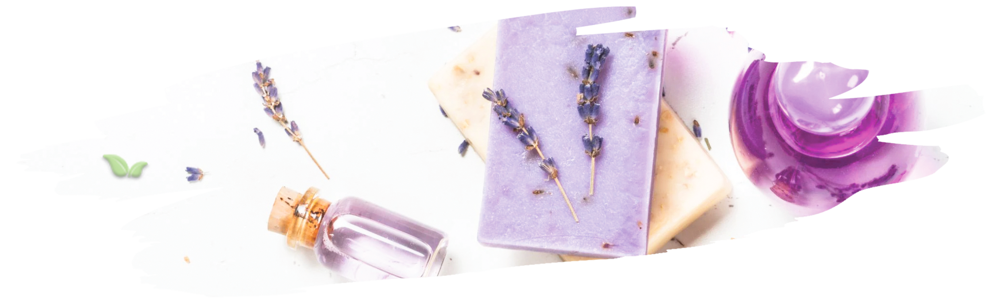 lavender field used in fragrance production demonstrating aroma extraction