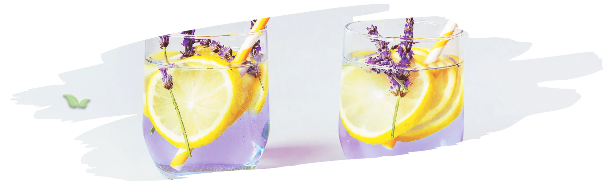 bartender preparing lavender cocktail demonstrating aromatic refreshment