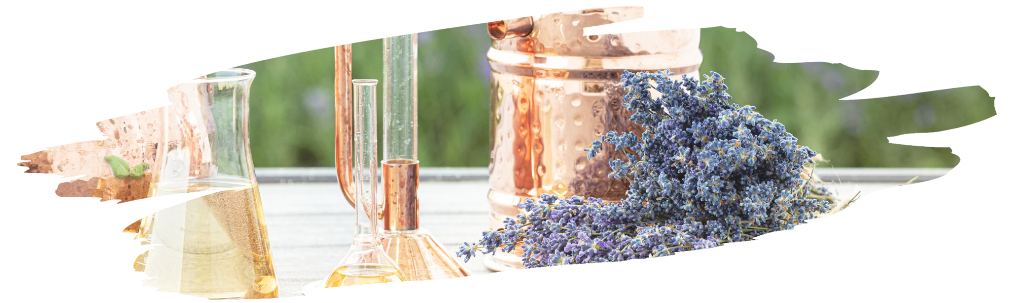 close up of lavender petals demonstrating natural essential oil structure