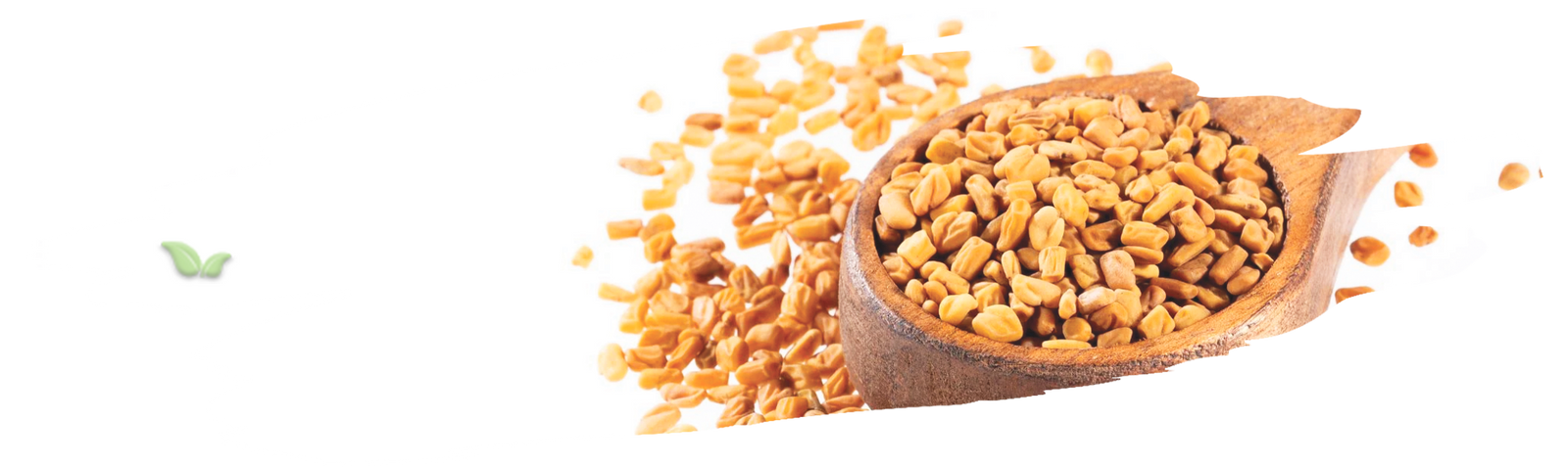 chefs using fenugreek in diverse cuisines demonstrating international flavor appeal