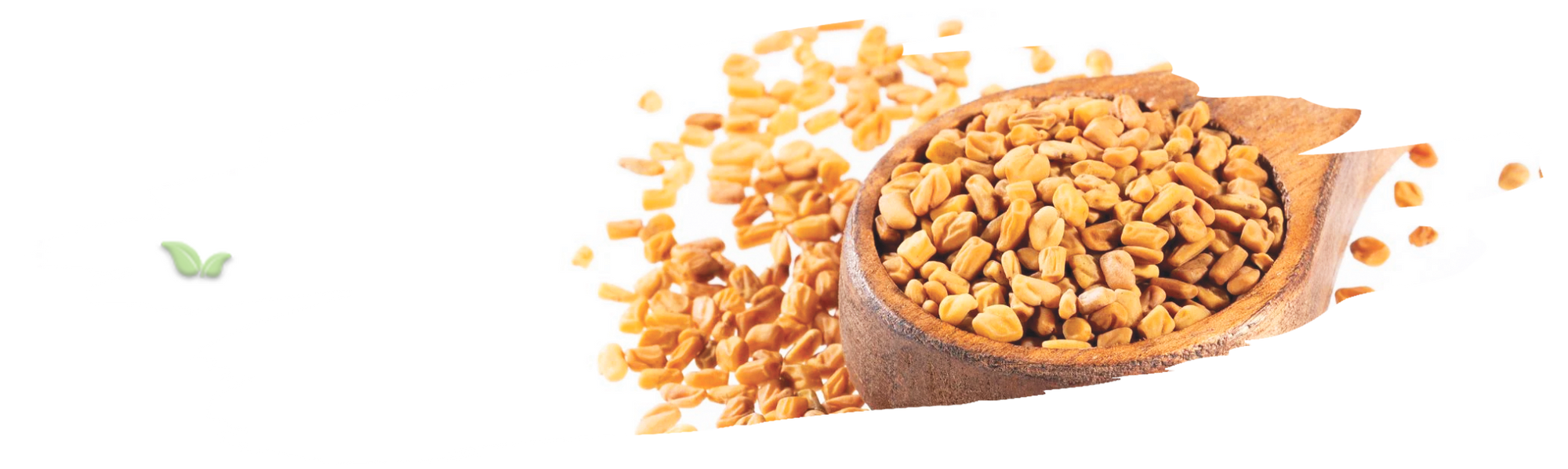 chefs using fenugreek in diverse cuisines demonstrating international flavor appeal