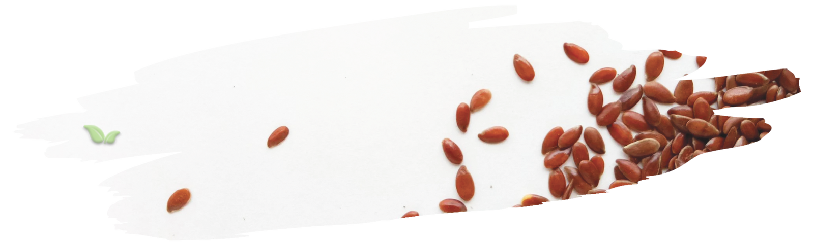 spinning flax fibers demonstrating transformation into linen cloth