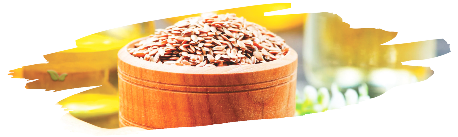 comparison of flax seed and oil demonstrating health benefits and uses