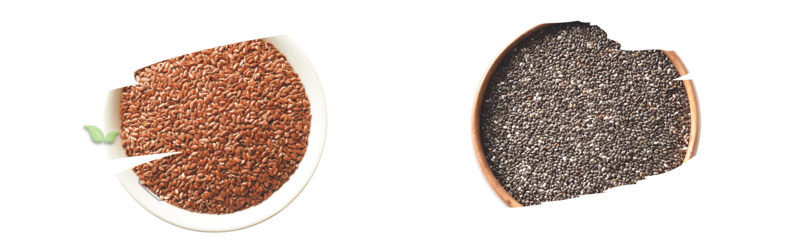 comparison of flax and chia highlighting nutritional benefits and culinary uses