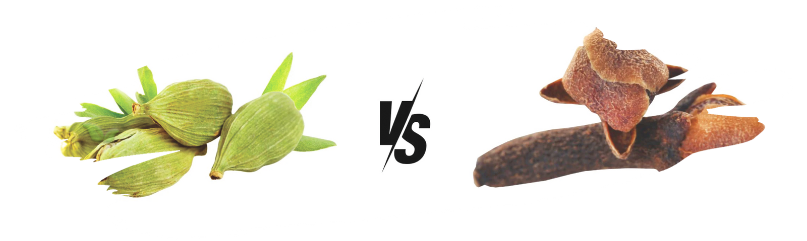 comparison of cardamom and clove demonstrating distinct spice aromas