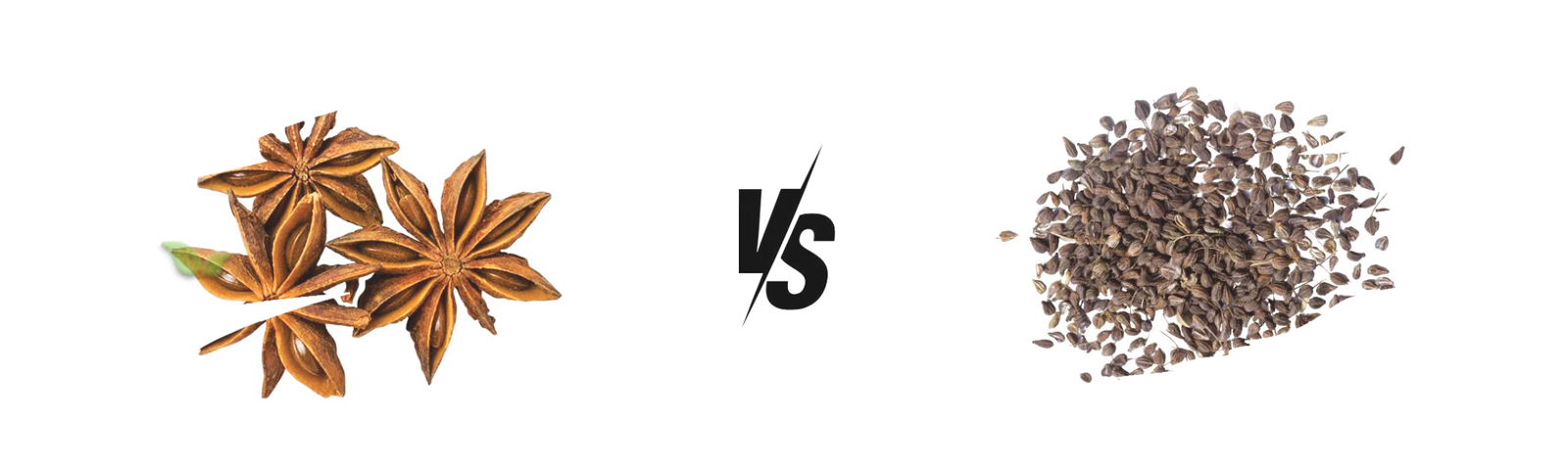 comparison of star anise and anise seed highlighting aroma and flavor contrasts