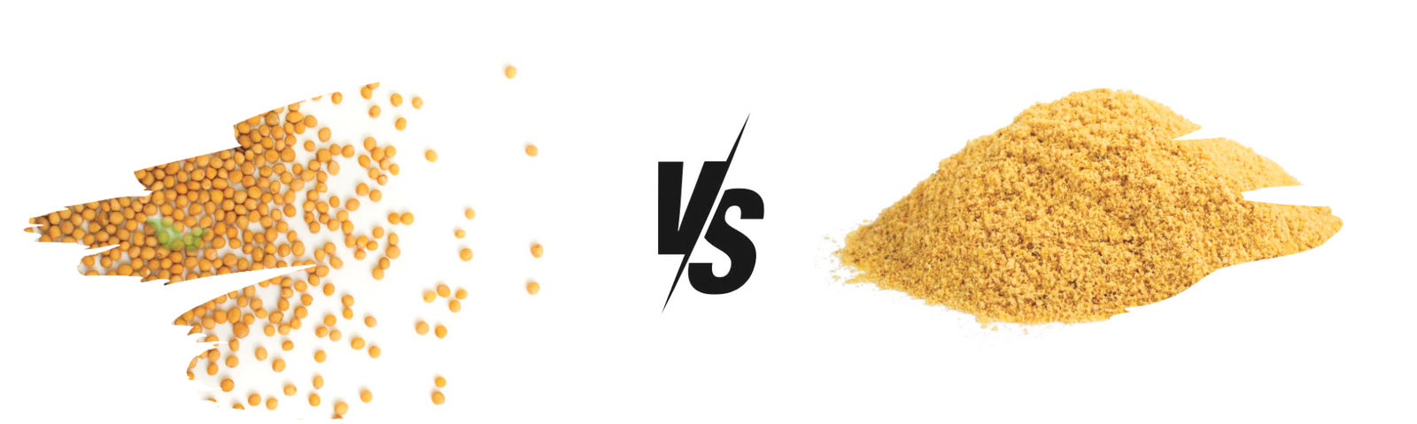 comparison of mustard forms demonstrating intensity and culinary use variations