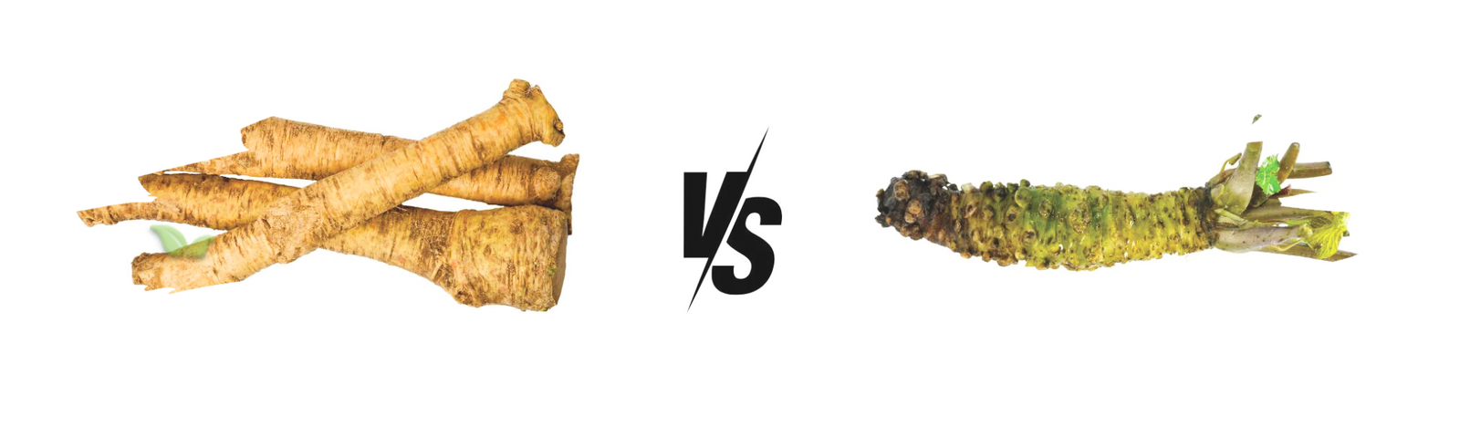 comparison of condiments demonstrating heat and flavor distinctions