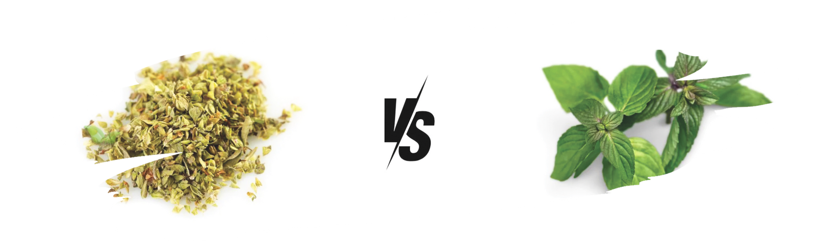comparison of oregano forms demonstrating intensity and cooking applications