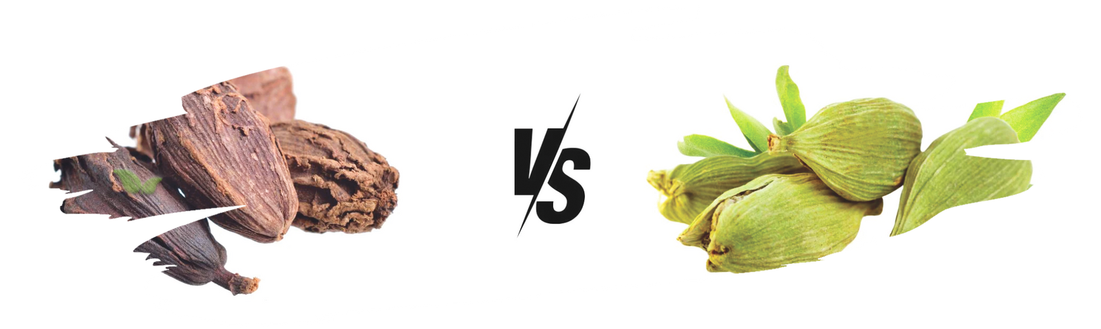 comparison of cardamom types highlighting flavor and aroma contrast