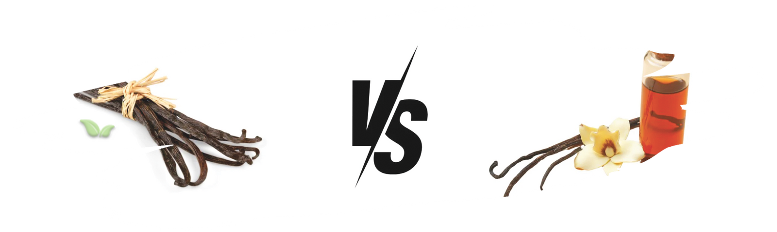 comparison of vanilla forms demonstrating natural flavor intensity