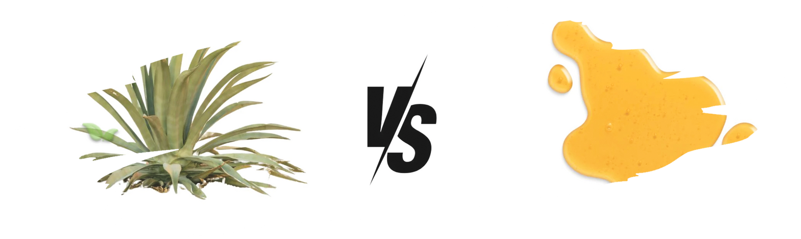 comparison of honey and agave demonstrating flavor and health differences