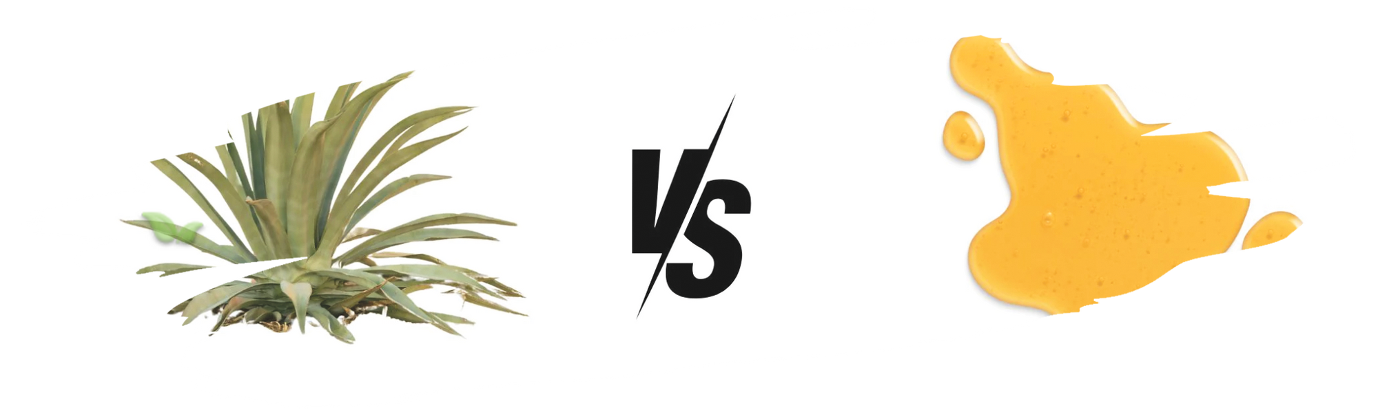 comparison of honey and agave demonstrating flavor and health differences