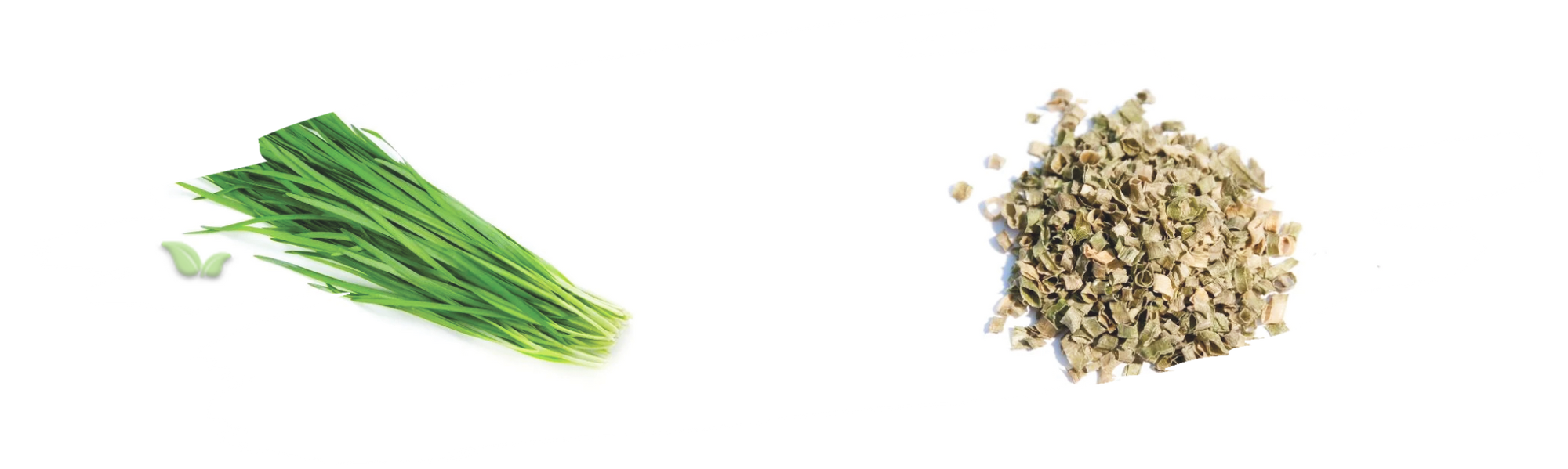 comparison of chilies demonstrating heat intensity and cooking applications