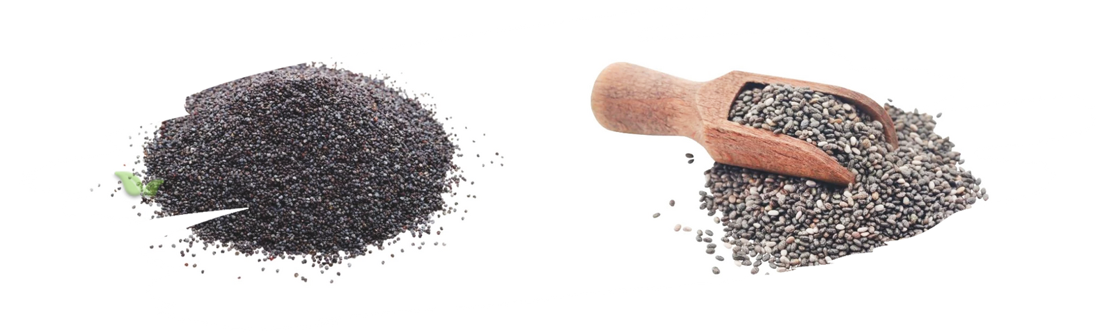comparison of seed types demonstrating culinary and visual variations