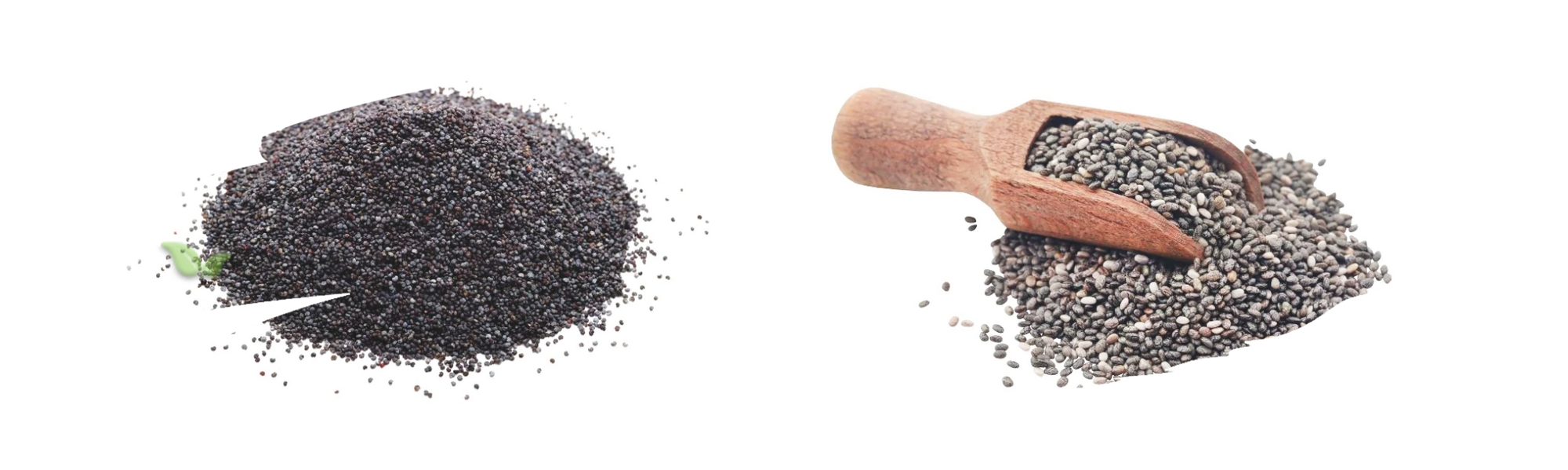comparison of seed types demonstrating culinary and visual variations