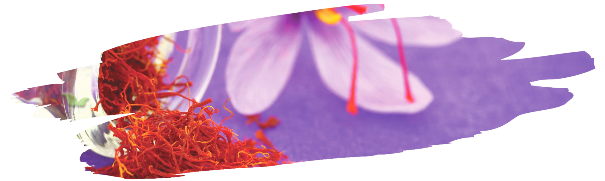 jar of saffron opened demonstrating fragrance complexity and quality