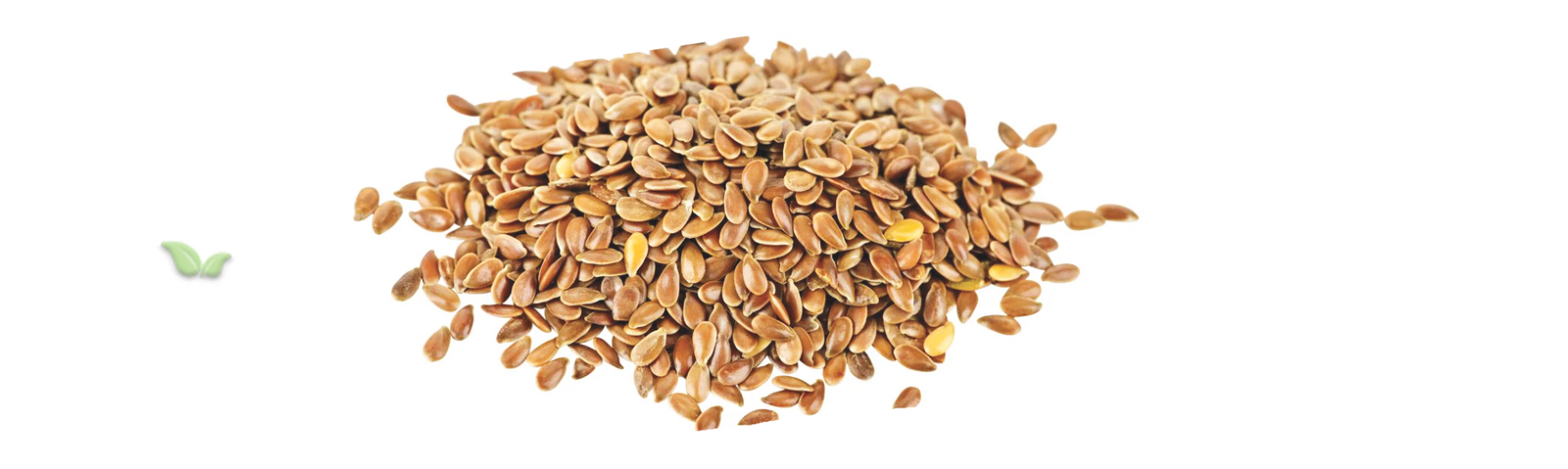 comparison of flax seed types demonstrating global varieties and uses
