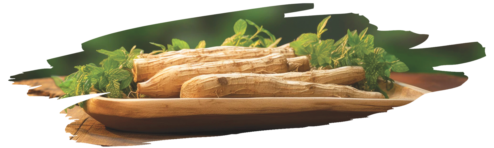 packaged ginseng products demonstrating global market demand