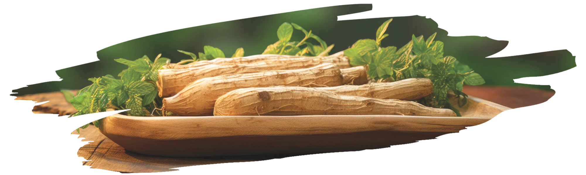 packaged ginseng products demonstrating global market demand