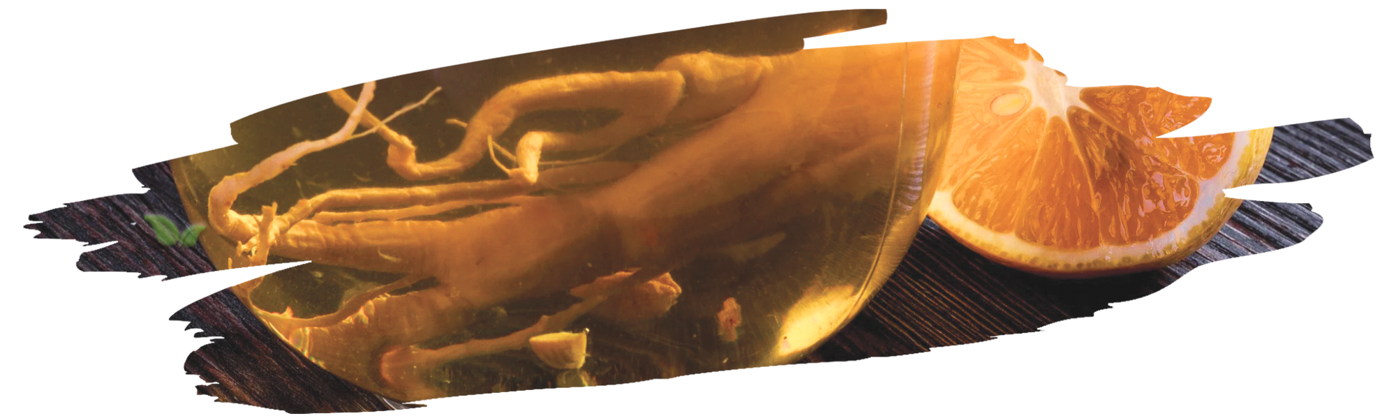 ginseng root steeping in teapot demonstrating art of tea brewing