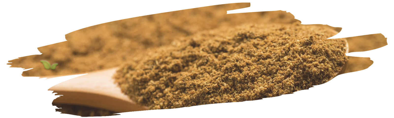 chef adding ground fennel to meal demonstrating flavor enhancement