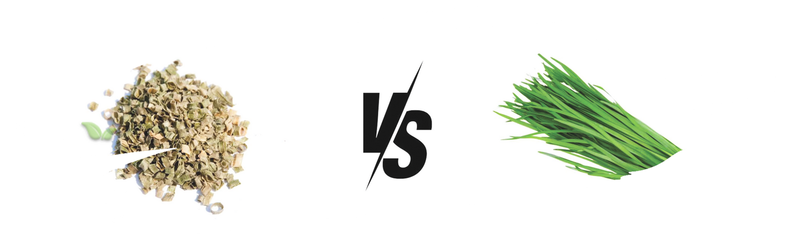 comparison of chive forms demonstrating flavor intensity and cooking uses