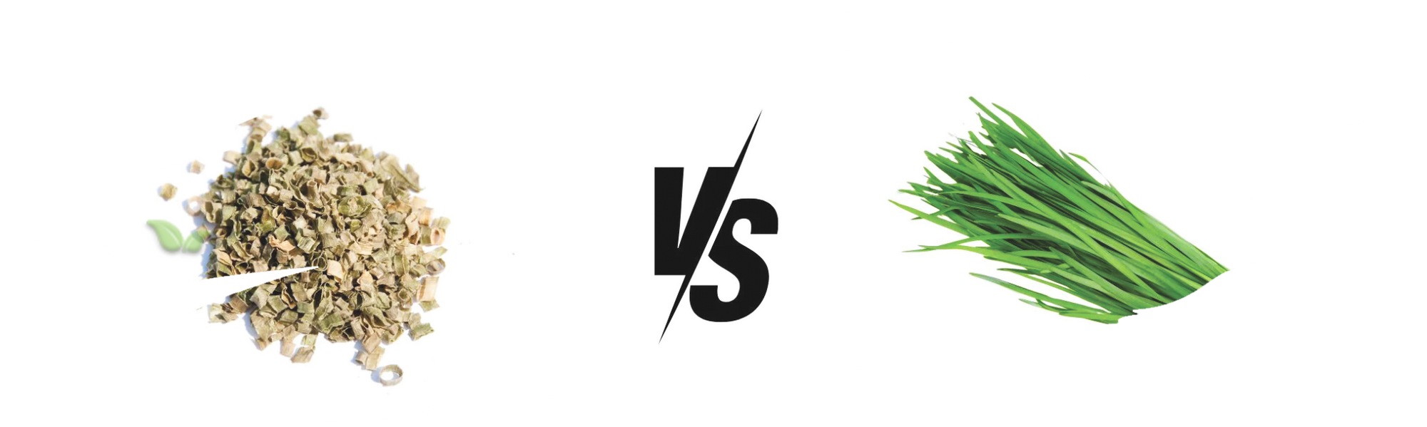 comparison of chive forms demonstrating flavor intensity and cooking uses