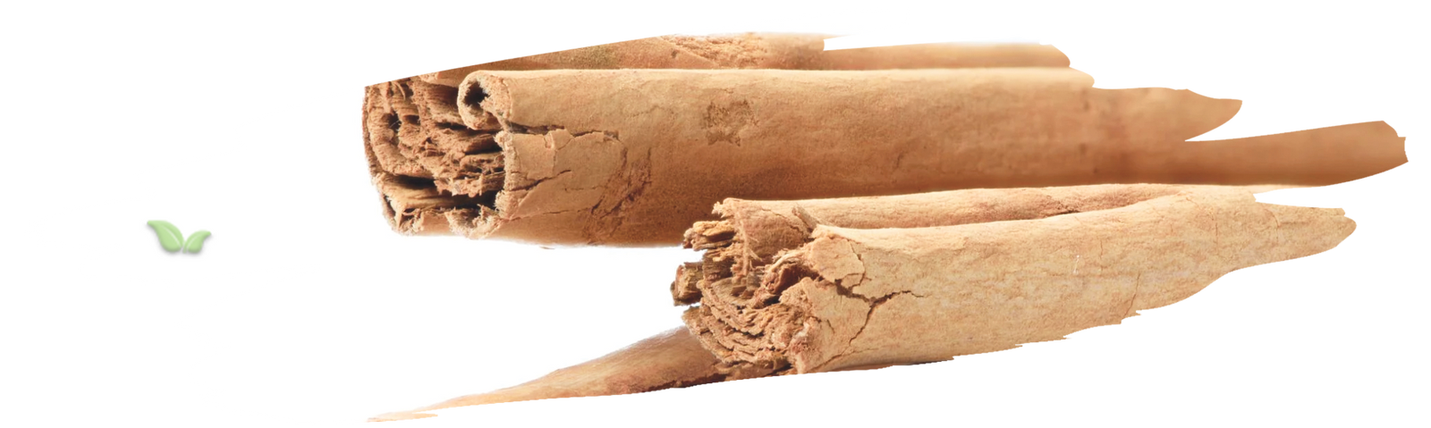 ground ceylon cinnamon in bowl demonstrating mild sweet aroma