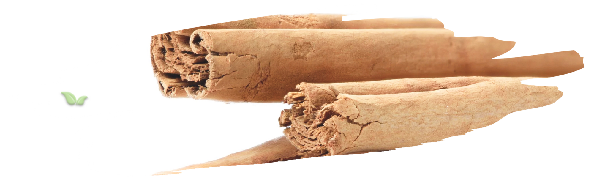 ground ceylon cinnamon in bowl demonstrating mild sweet aroma